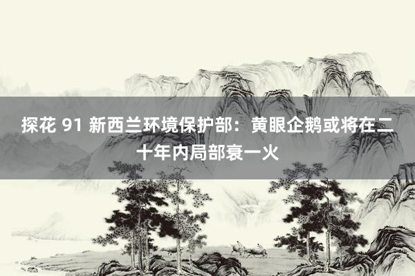 探花 91 新西兰环境保护部：黄眼企鹅或将在二十年内局部衰一火