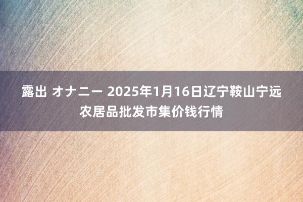 露出 オナニー 2025年1月16日辽宁鞍山宁远农居品批发市集价钱行情