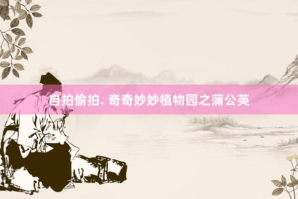 自拍偷拍. 奇奇妙妙植物园之蒲公英