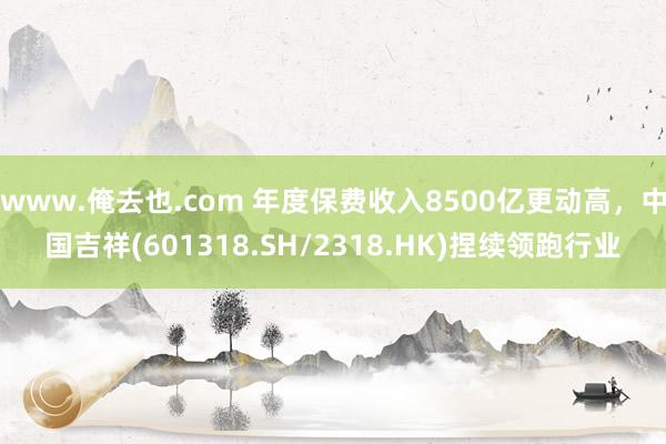 www.俺去也.com 年度保费收入8500亿更动高，中国吉祥(601318.SH/2318.HK)捏续领跑行业
