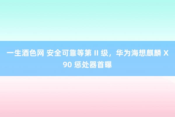 一生酒色网 安全可靠等第 II 级，华为海想麒麟 X90 惩处器首曝