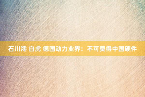 石川澪 白虎 德国动力业界：不可莫得中国硬件