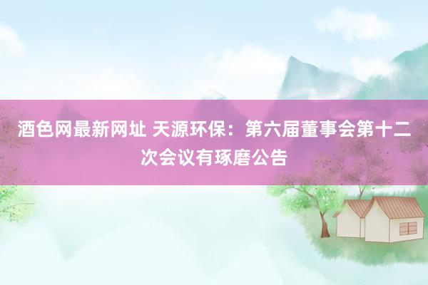 酒色网最新网址 天源环保：第六届董事会第十二次会议有琢磨公告
