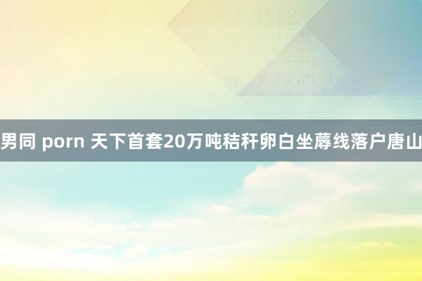 男同 porn 天下首套20万吨秸秆卵白坐蓐线落户唐山