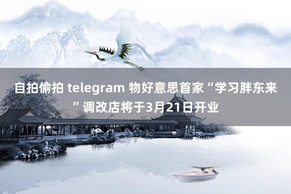 自拍偷拍 telegram 物好意思首家“学习胖东来”调改店将于3月21日开业