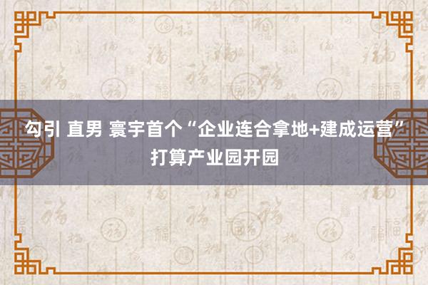 勾引 直男 寰宇首个“企业连合拿地+建成运营”打算产业园开园