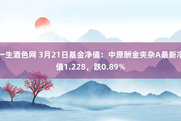 一生酒色网 3月21日基金净值：中原酬金夹杂A最新净值1.228，跌0.89%