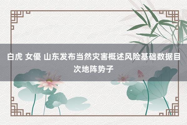 白虎 女優 山东发布当然灾害概述风险基础数据目次地阵势子