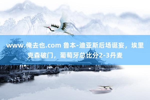 www.俺去也.com 鲁本-迪亚斯后场诞妄，埃里克森破门，葡萄牙总比分2-3丹麦