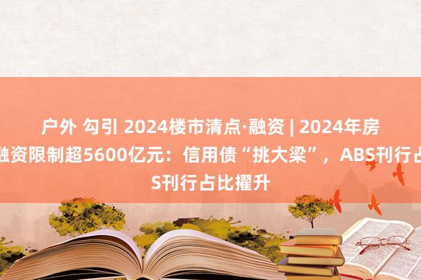 户外 勾引 2024楼市清点·融资 | 2024年房企债券融资限制超5600亿元：信用债“挑大梁”，ABS刊行占比擢升