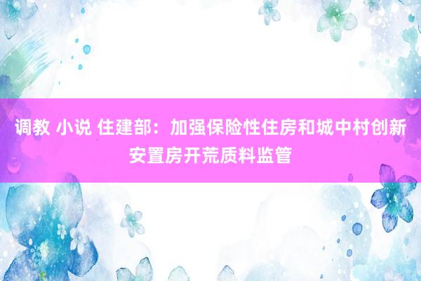 调教 小说 住建部：加强保险性住房和城中村创新安置房开荒质料监管
