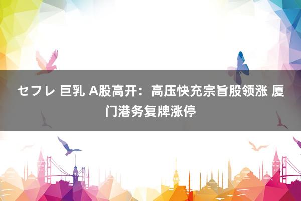 セフレ 巨乳 A股高开：高压快充宗旨股领涨 厦门港务复牌涨停
