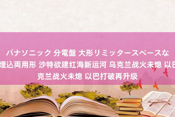 パナソニック 分電盤 大形リミッタースペースなし 露出・半埋込両用形 沙特欲建红海新运河 乌克兰战火未熄 以巴打破再升级
