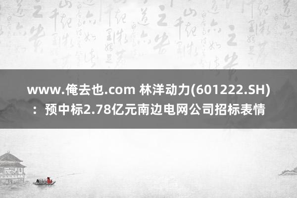 www.俺去也.com 林洋动力(601222.SH)：预中标2.78亿元南边电网公司招标表情