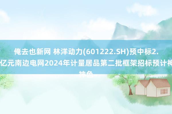 俺去也新网 林洋动力(601222.SH)预中标2.78亿元南边电网2024年计量居品第二批框架招标预计神色