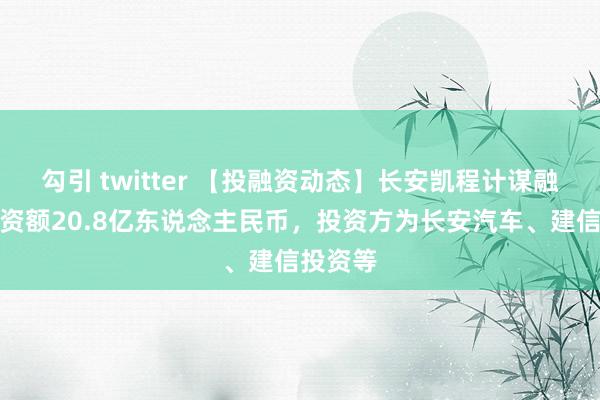 勾引 twitter 【投融资动态】长安凯程计谋融资，融资额20.8亿东说念主民币，投资方为长安汽车、建信投资等