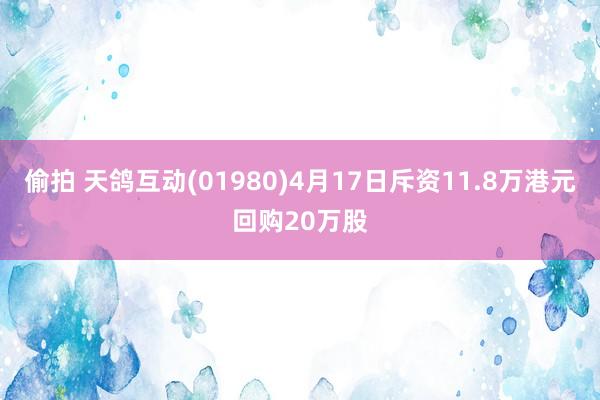 偷拍 天鸽互动(01980)4月17日斥资11.8万港元回购20万股