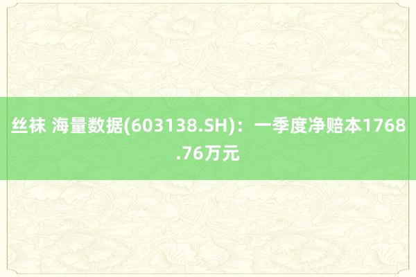 丝袜 海量数据(603138.SH)：一季度净赔本1768.76万元