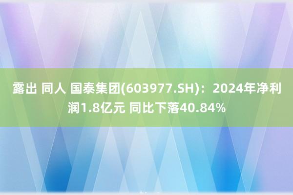 露出 同人 国泰集团(603977.SH)：2024年净利润1.8亿元 同比下落40.84%