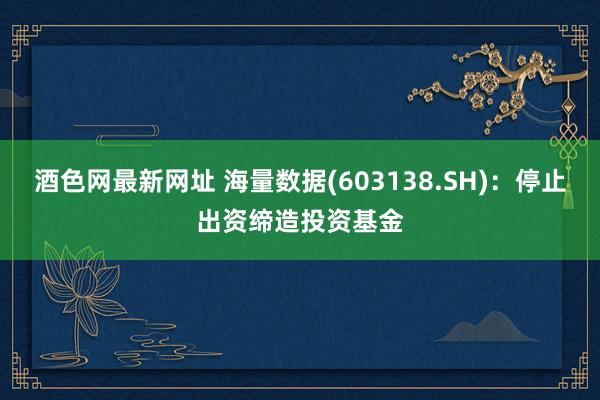 酒色网最新网址 海量数据(603138.SH)：停止出资缔造投资基金
