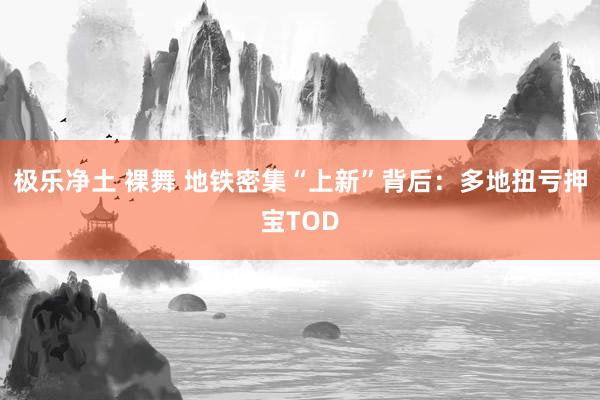 极乐净土 裸舞 地铁密集“上新”背后：多地扭亏押宝TOD