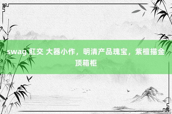 swag 肛交 大器小作,明清产品瑰宝,紫檀描金顶箱柜